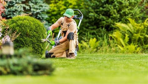 Lavoro a Giardini